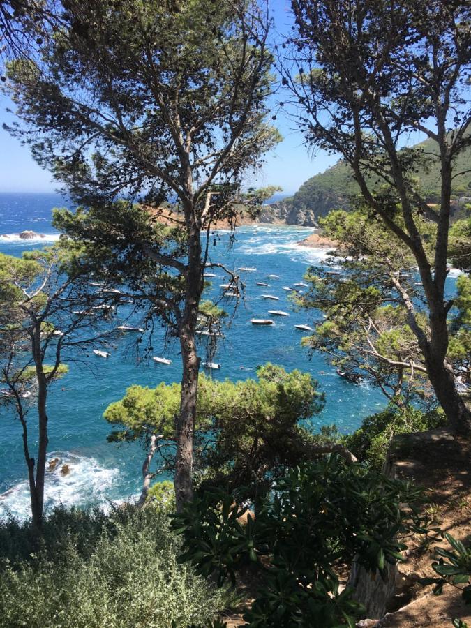Cap Sa Sal Navy, Begur, Girona公寓 外观 照片