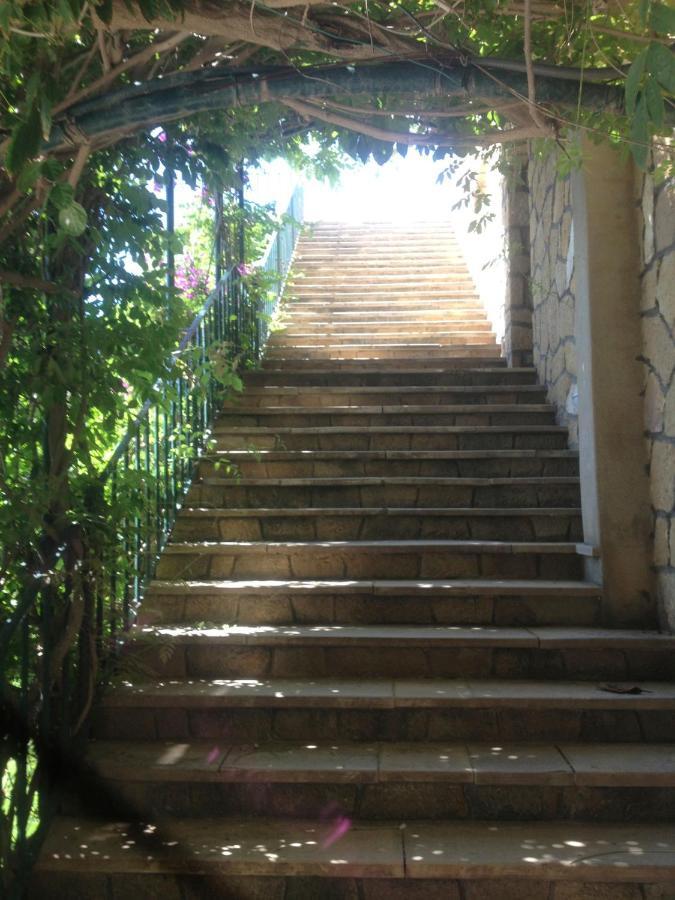 Cap Sa Sal Navy, Begur, Girona公寓 外观 照片