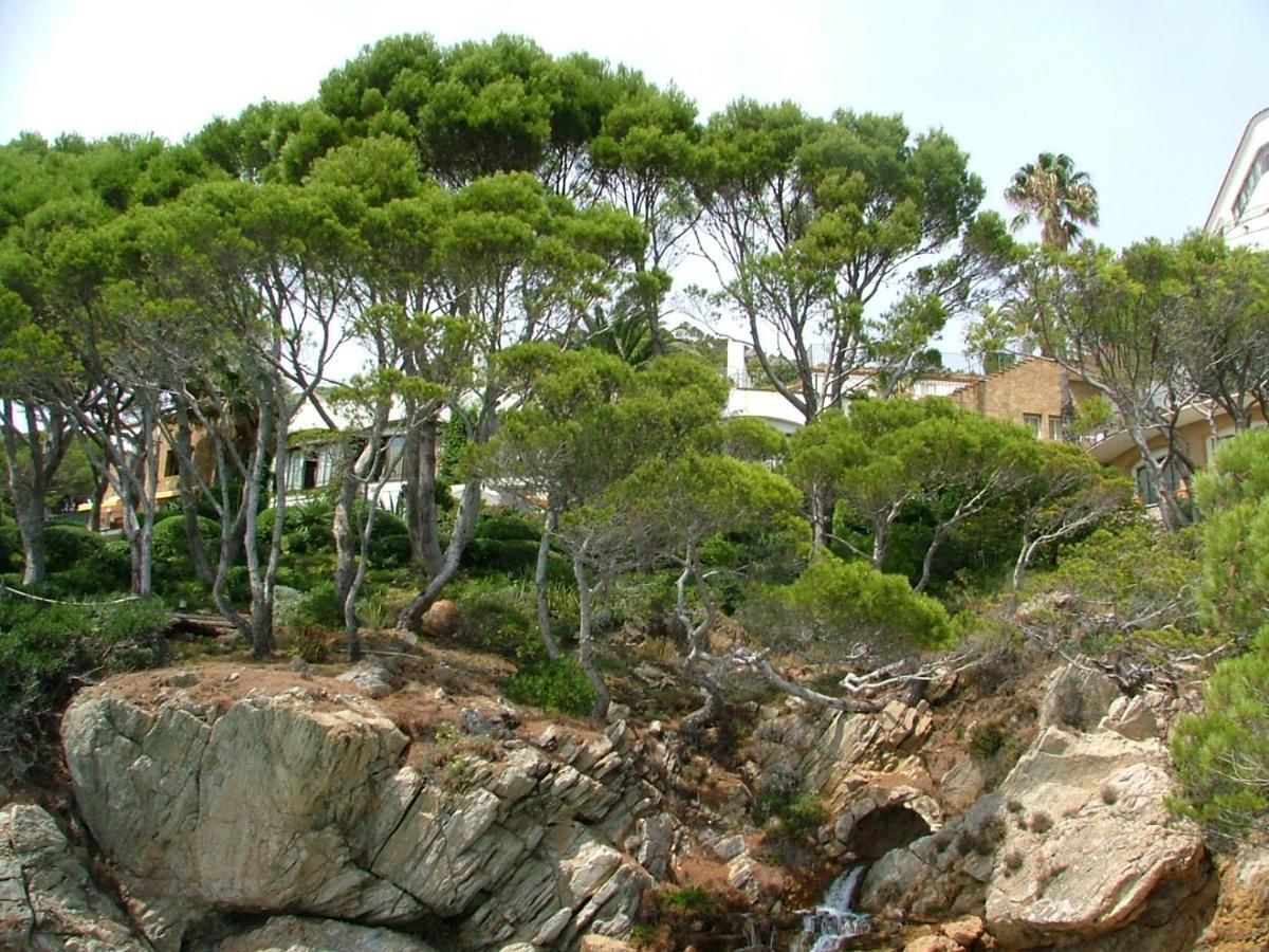 Cap Sa Sal Navy, Begur, Girona公寓 外观 照片